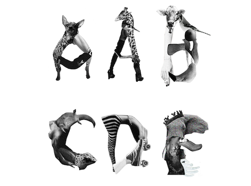 animal font