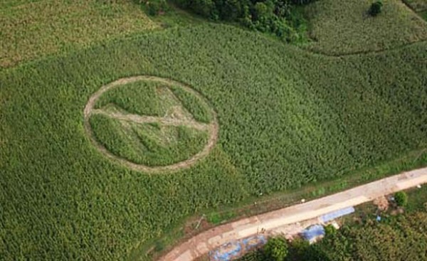 Monsanto_greenpeace-600x367