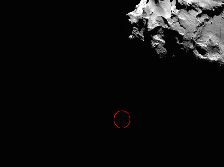 stire 14 nov cometa 7