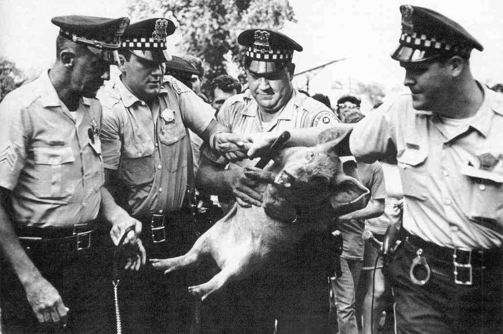 Pigasus, candidatul Yippie la alegerile prezidențiale, reținut de poliția din Chicago, înaintea deschiderii Convenției Democrate Naționale, 1968. Sursa: Kings Academy