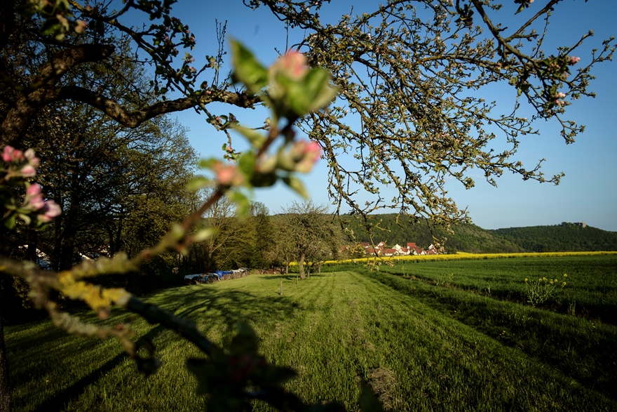 Village in Bavaria