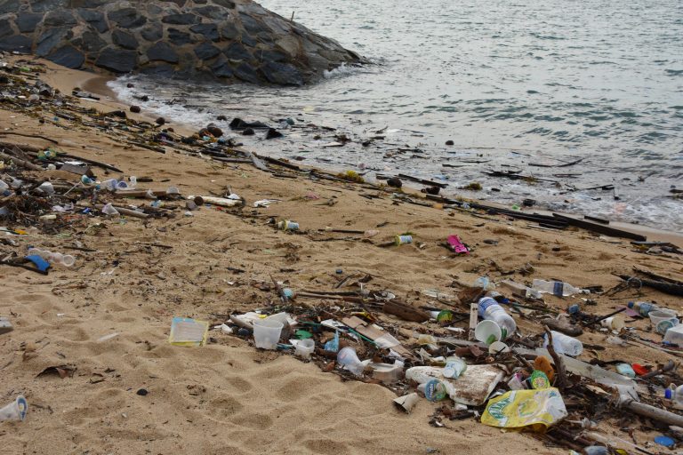 Peste 7 miliarde de tone de plastic zac în gropile de gunoi și oceane